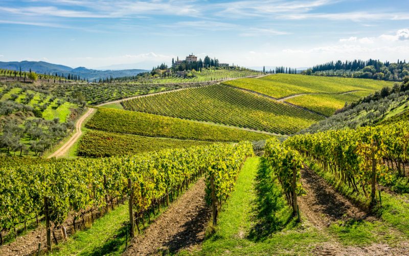 Hills and vineyards in Chianti, Tuscany
