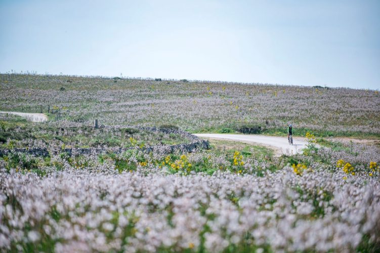 Von Matera nach Montescaglioso: zwischen Stein und Glauben