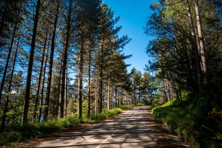 Auf den Gipfeln der Sila, zwischen Geschichte und Natur