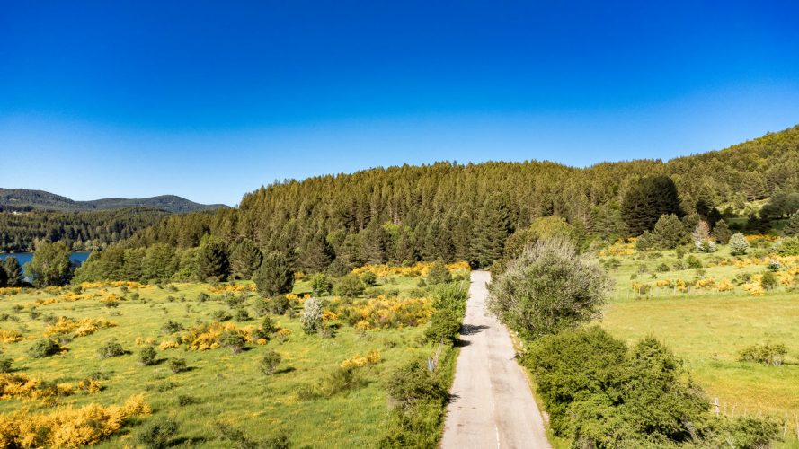 Von den Serre zum Aspromonte, bis zum Meer