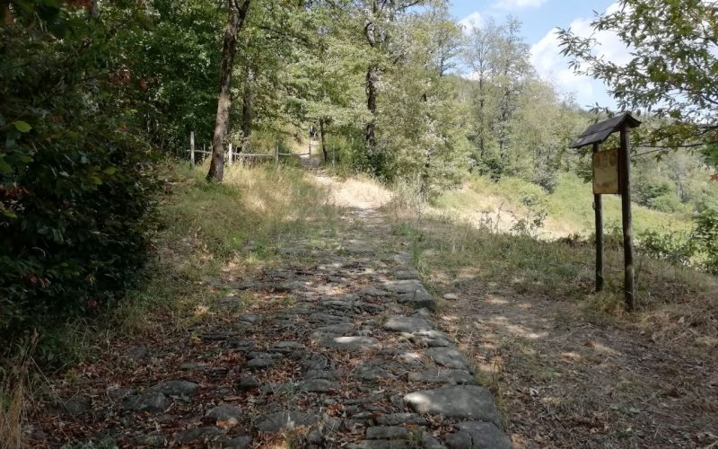 Von Madonna dei Fornelli zum Passo della Futa