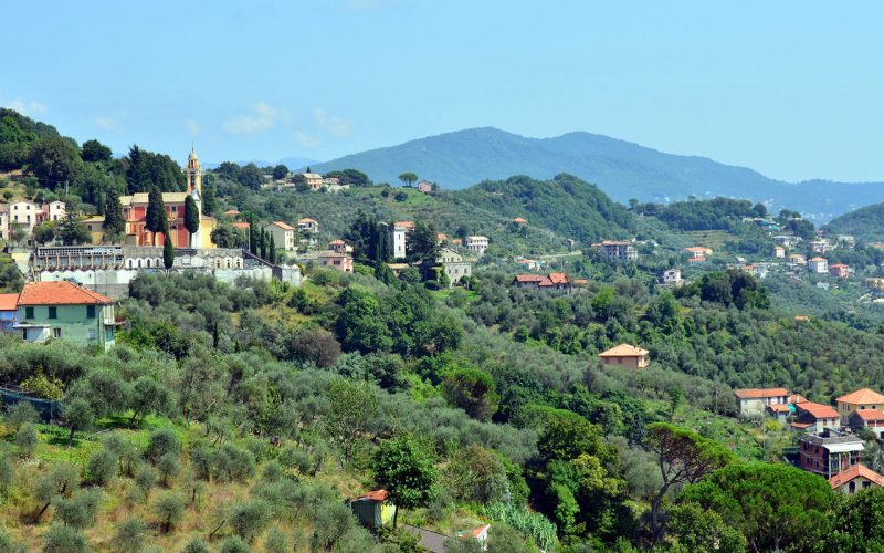 Un folto paesaggio di ulivi circonda Leivi, sulle colline sopra il golfo del Tigullio