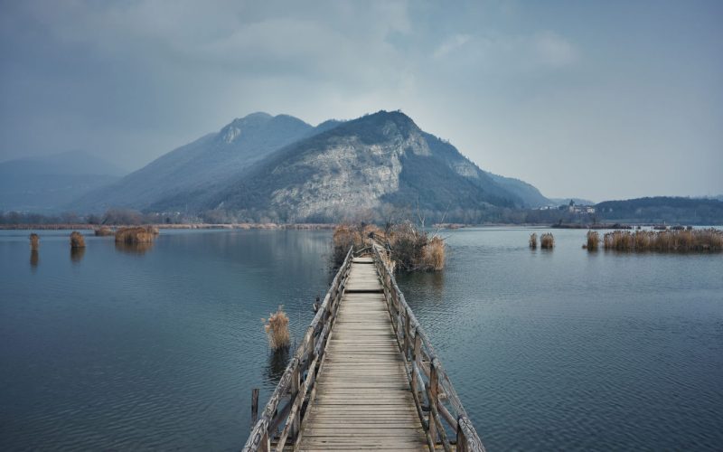 Die Torbiere von Sebino: Schatztruhe der Artenvielfalt