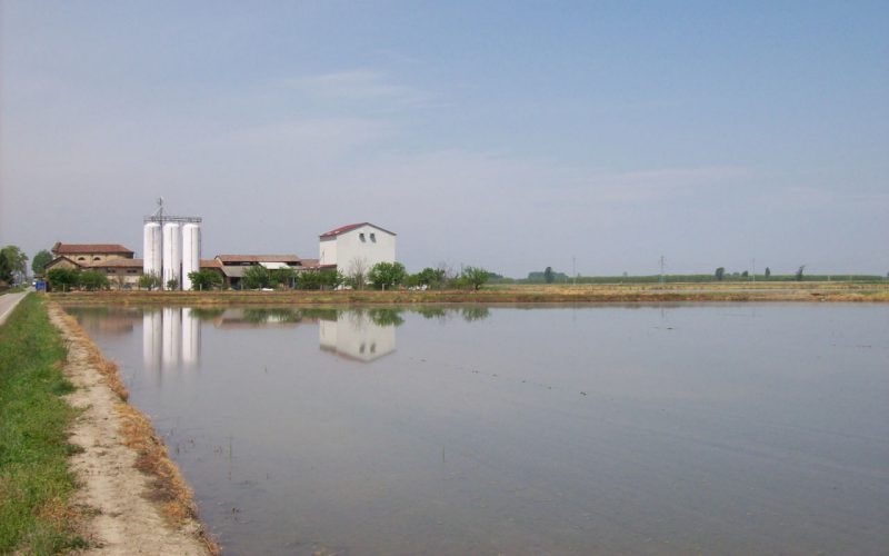 Von Castello d'Agogna nach Olevano di Lomellina