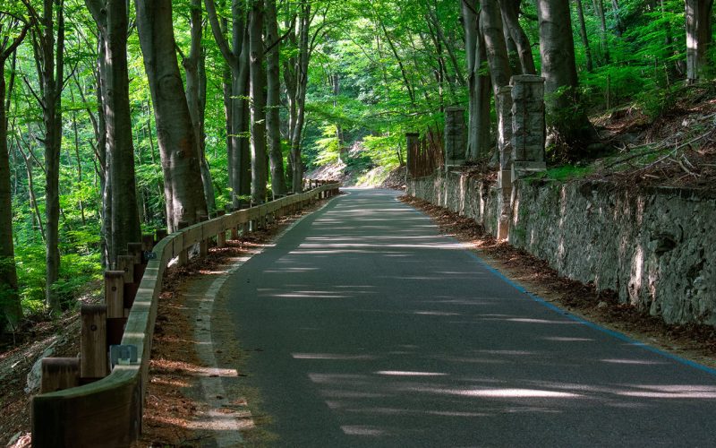 Regionaler Naturpark Campo dei Fiori