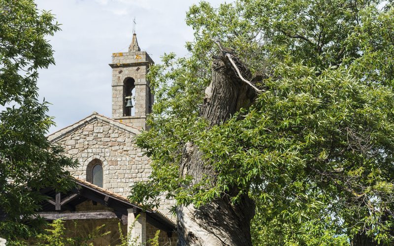  La chiesa di San Francesco a Piancastagnaio