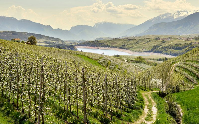 Mendelpass, ein legendärer Aufstieg
