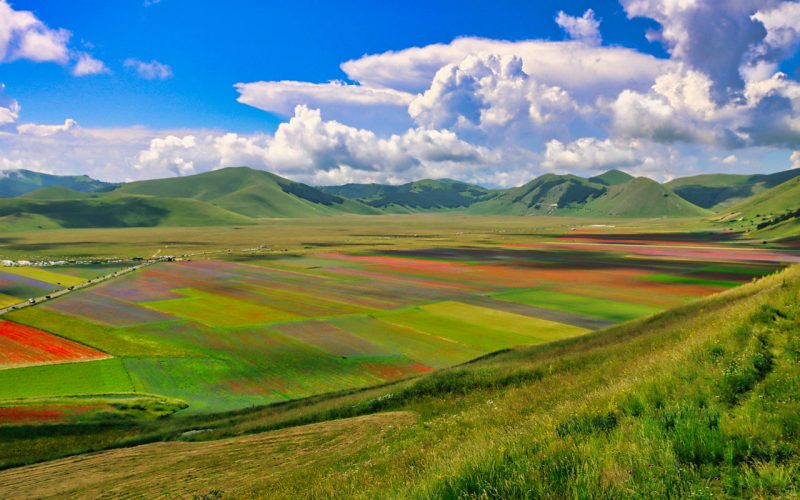 Piana di Castelluccio, ein blühendes Amphitheater