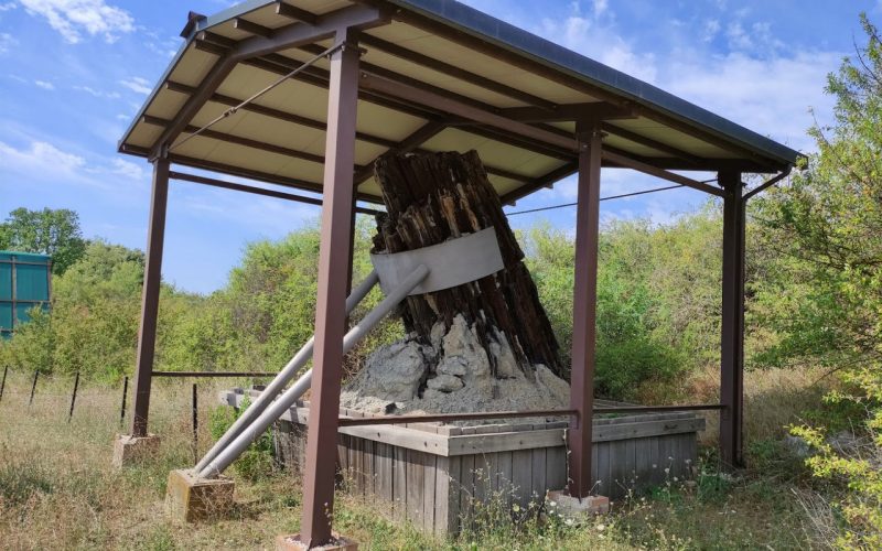 Fossiler Wald von Dunarobba