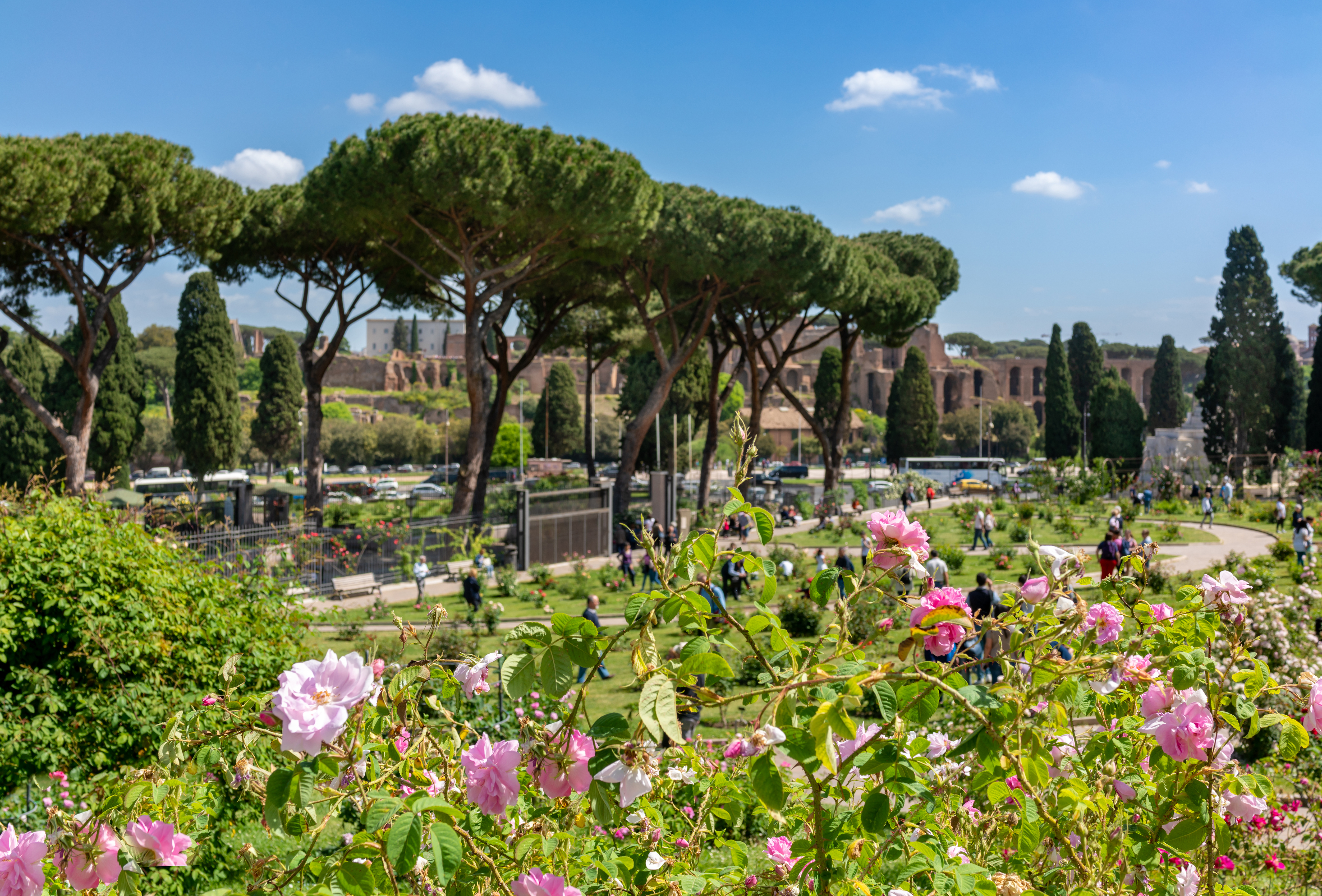 https://www.italia.it/content/dam/tdh/en/destinations/lazio/roma/roseto-comunale-di-roma/media/20220412103311-shutterstock-1456864670.jpg