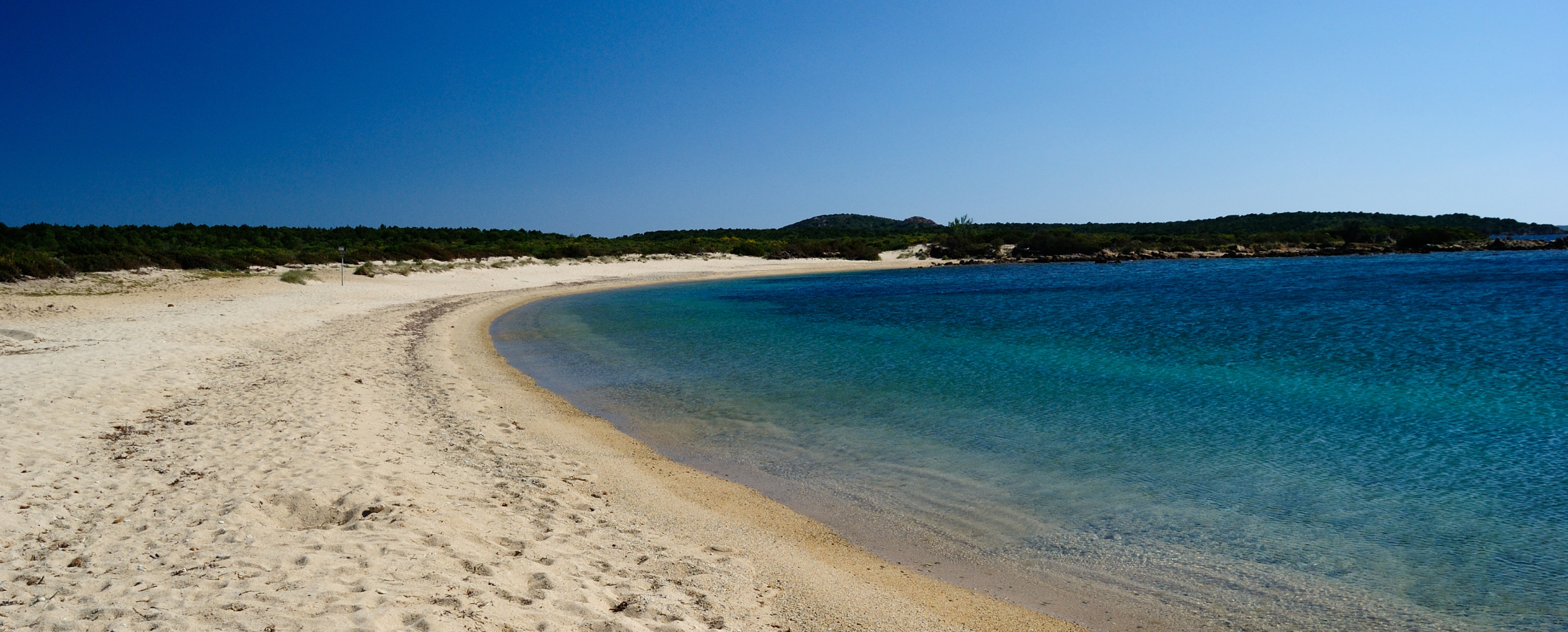Razza di Junco