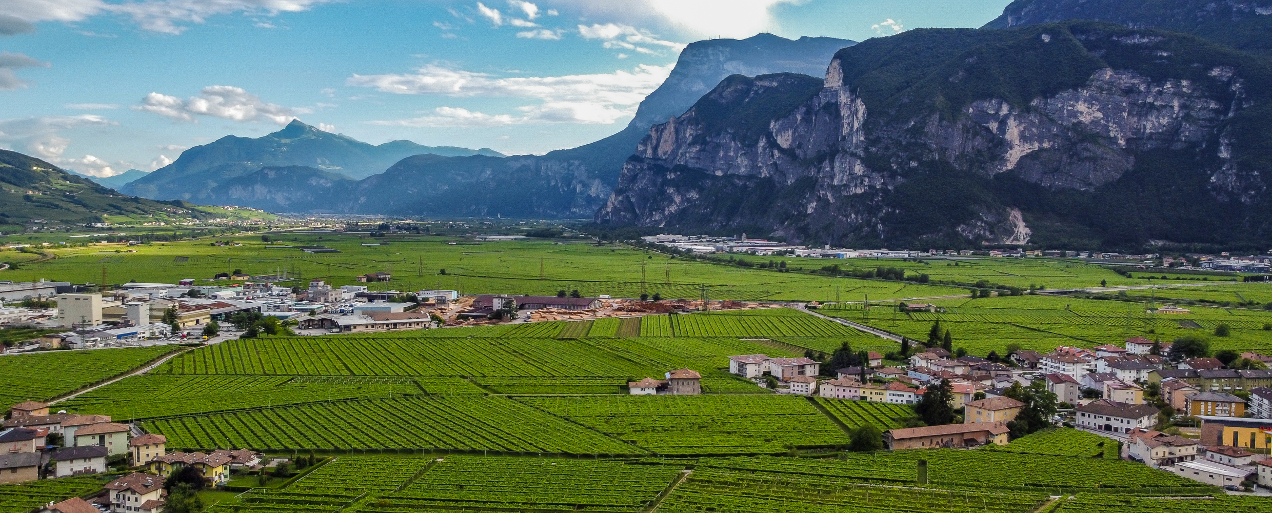 Piana Rotaliana - Italia.it