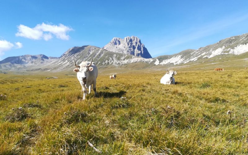 Capo la Serra Pass