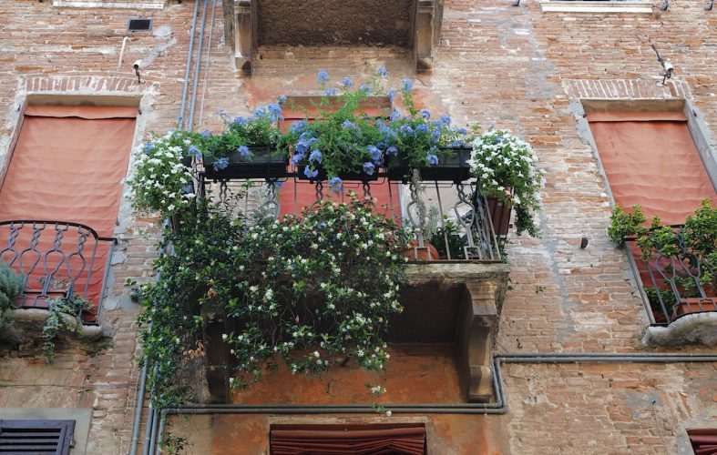 Jewish Ghetto