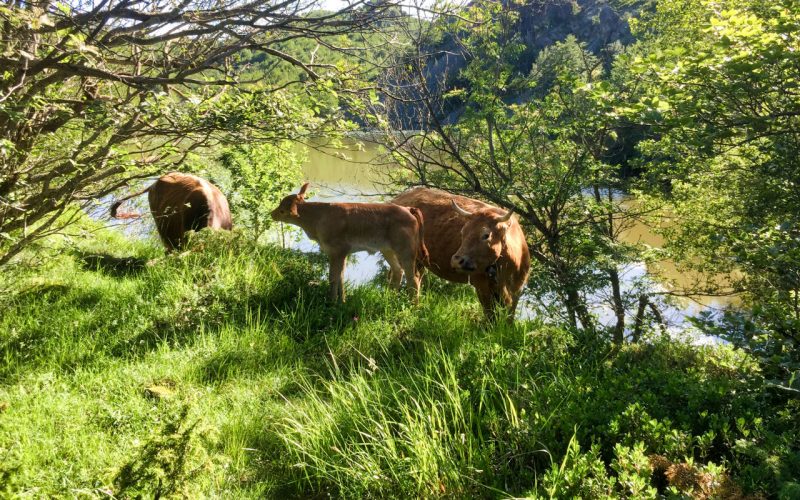 emilia romagna lake moo lake bino