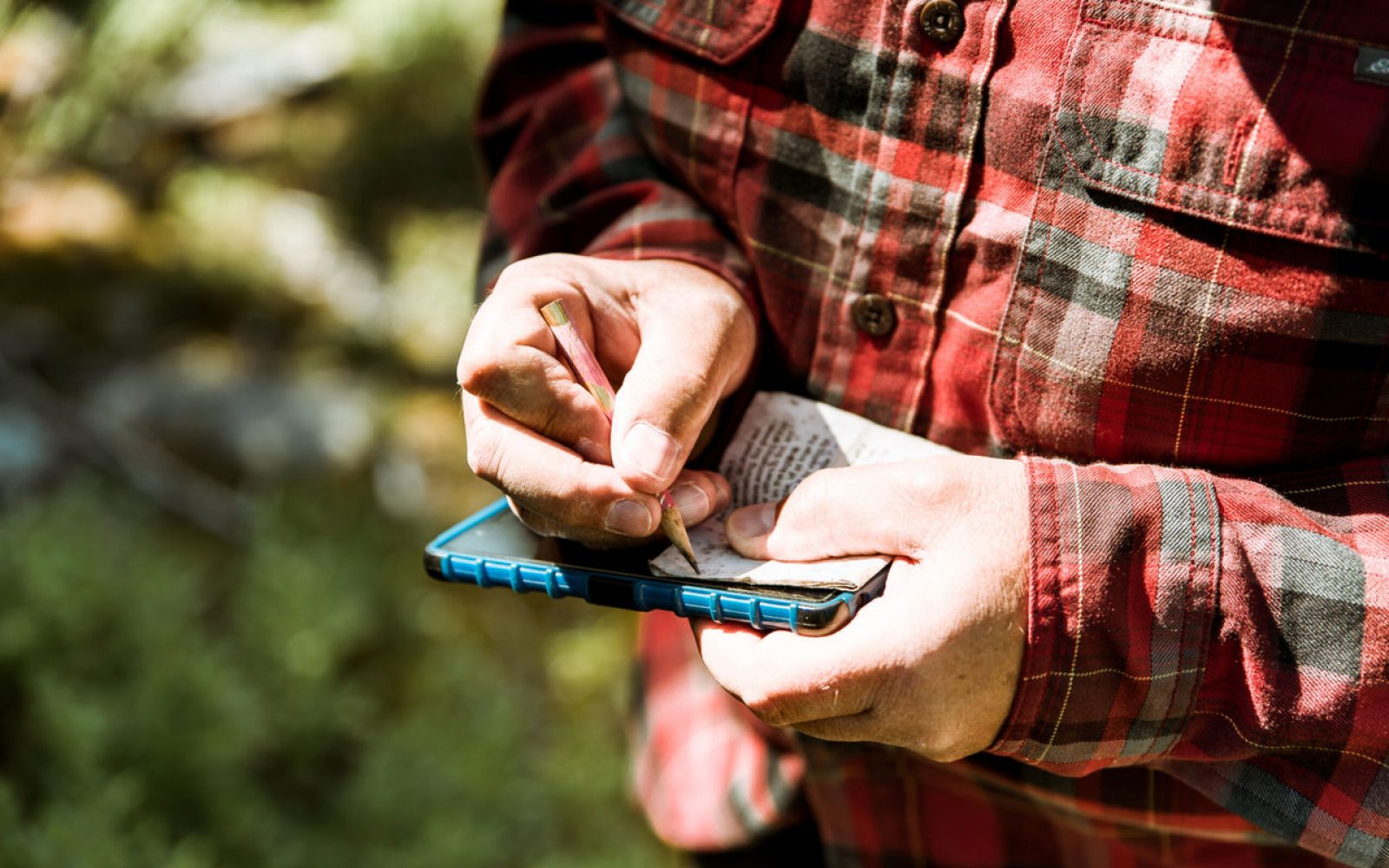 Where to go geocaching in nature parks in Italy - Italia.it