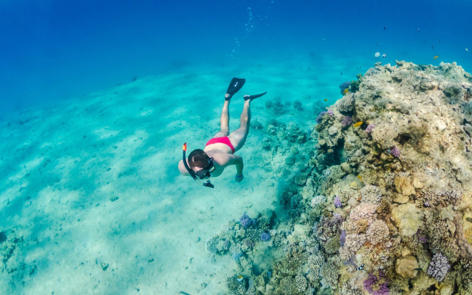 Top Italy snorkelling sites on the islands - Italia.it