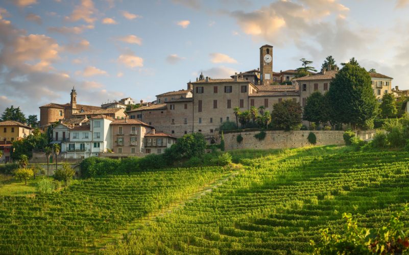 Wine tourism in Piedmont 