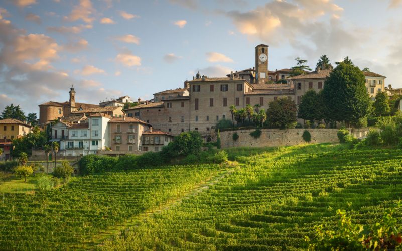 Wine tourism in Piedmont