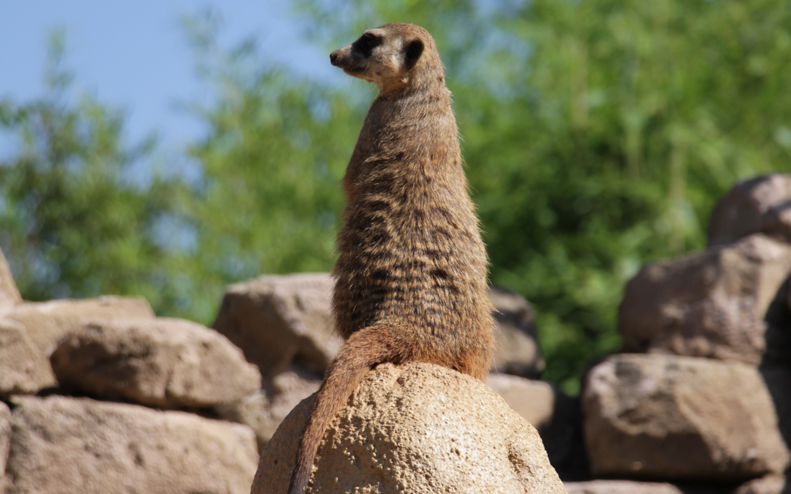 ZOOM Turin Zoo and Amusement Park in Italy Italia.it