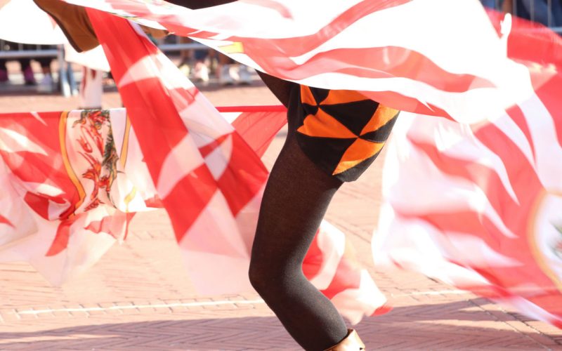 palio di siena for non-Sienese