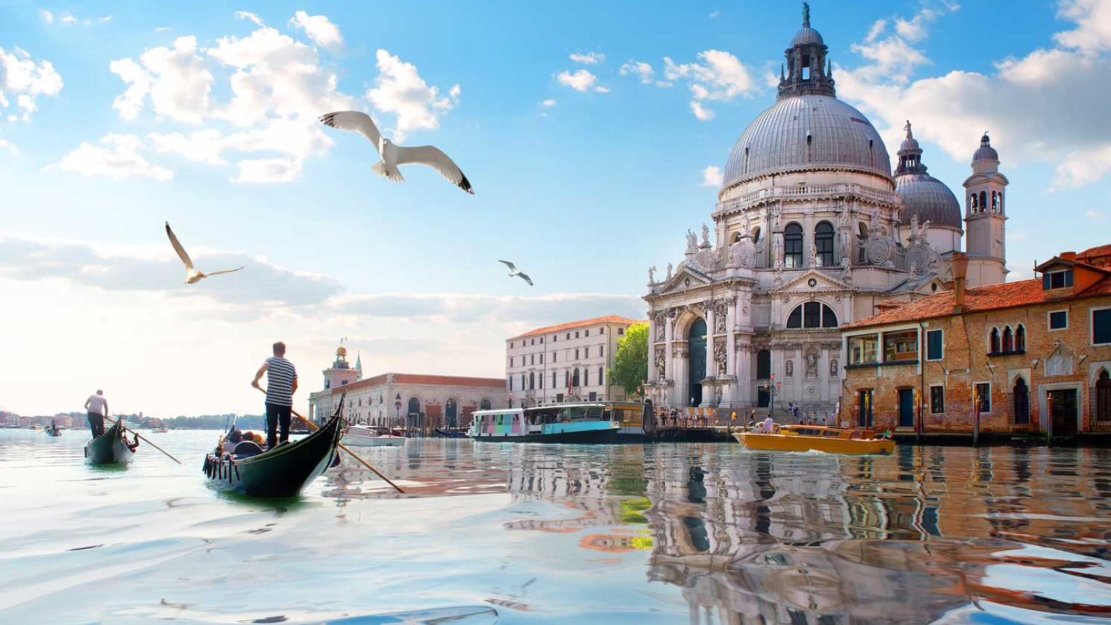 Forhandle frakobling Følg os Things to do & see in Venice: Top Attractions - Italia.it