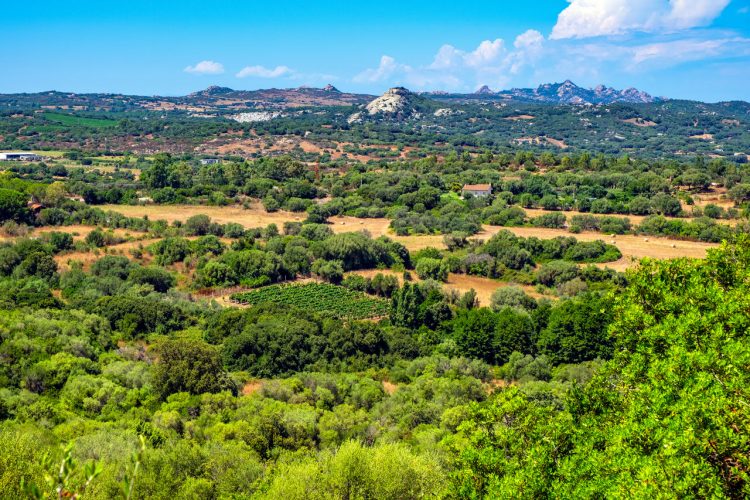 Arzachena, Sardegna