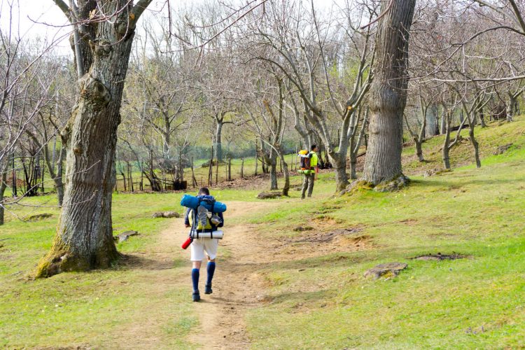 Trekkers sulla Via degli Dei