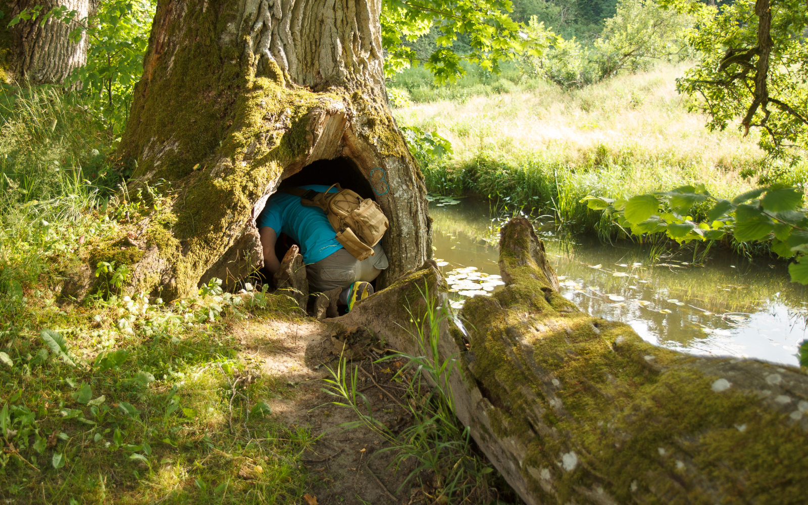 Dónde practicar geocaching en Italia - Italia.it