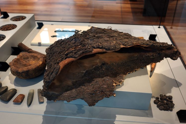 Museo delle Palafitte - Lago di Ledro