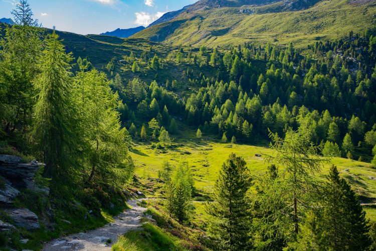 Parque Nacional del Stelvio