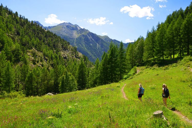 Due persone camminano su un sentiero fra i prati del Parco del Gran Paradiso