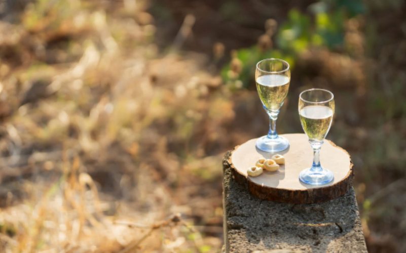 Pícnic en el viñedo en Puglia