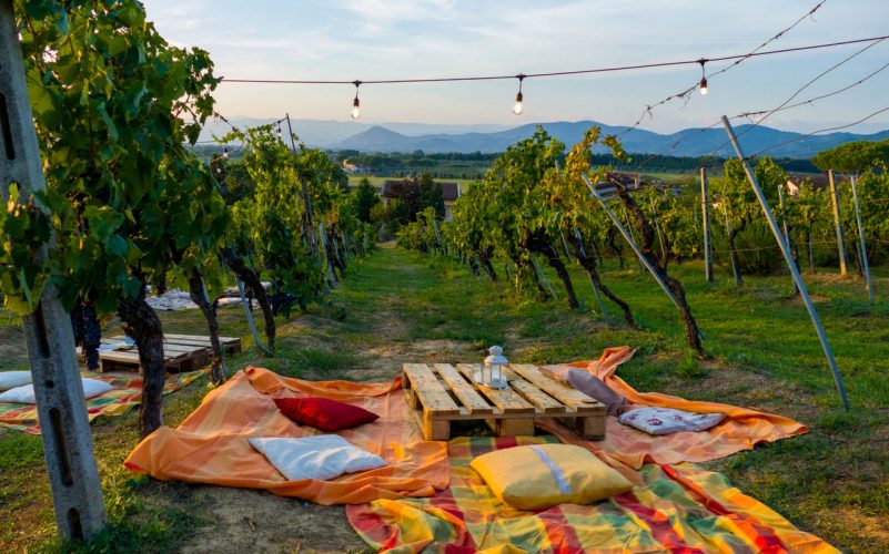 Pícnic en el viñedo en la Toscana