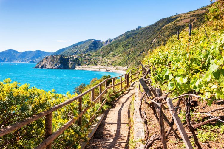 Paesaggio costiero sul Sentiero Liguria