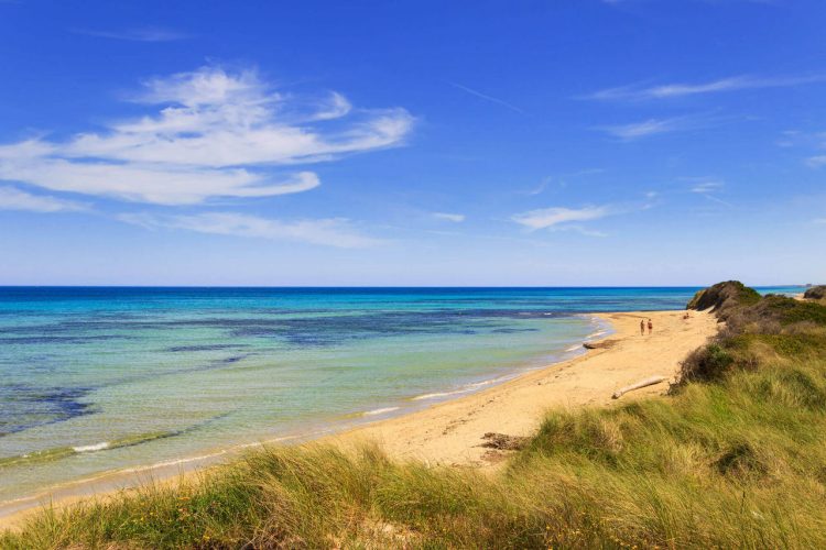 Fasano - Sulle sponde adriatiche, incorniciato da Ulivi e vegetazione mediterranea