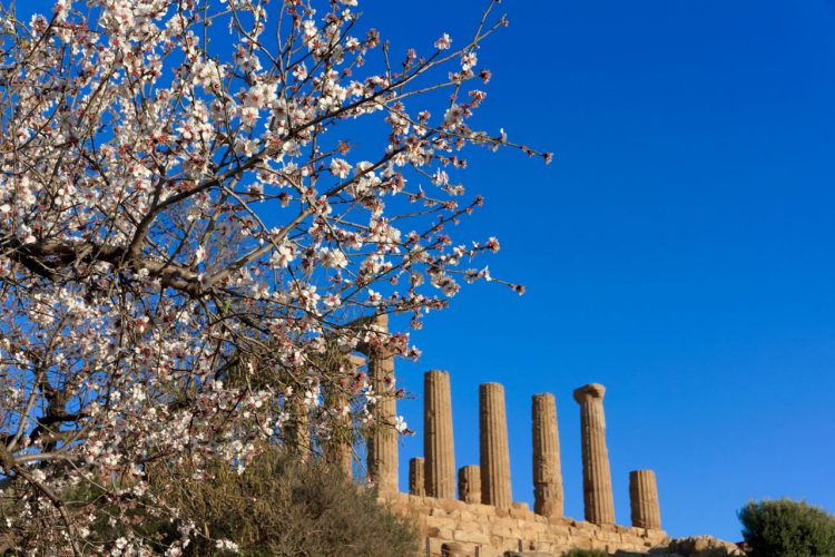 La Valle dei Templi - Agrigento, Sicilia