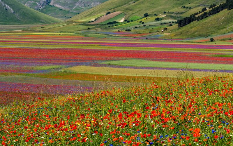 norcia sibillini