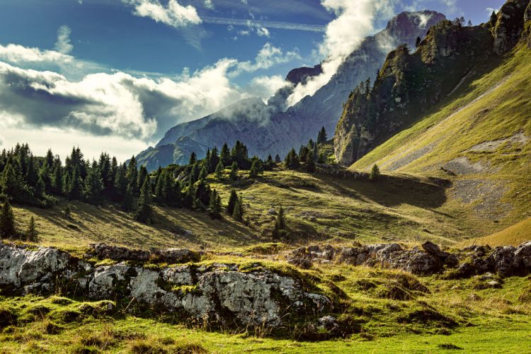 Gradoni naturali di roccia tra prati e abeti; sul fondo, montagne tra le nuvole
