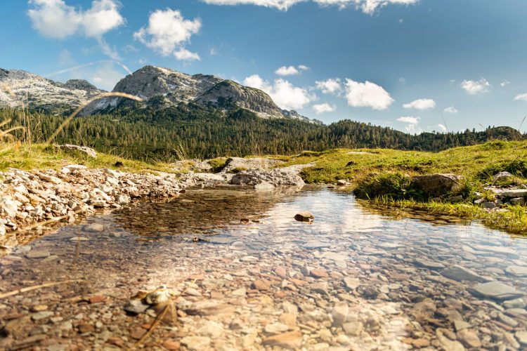 Uno dei corsi d'acqua che attraversano il Parco, nella zona chiamata Piani Eterni