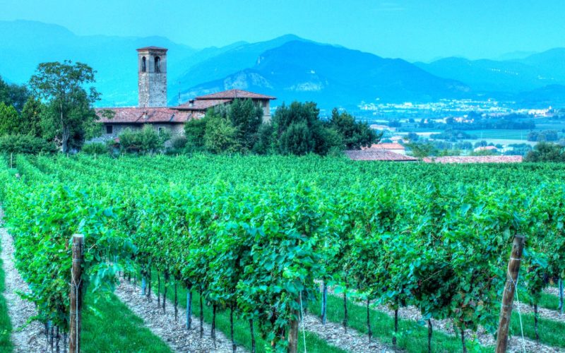 Franciacorta : patrimoine de la méthode classique