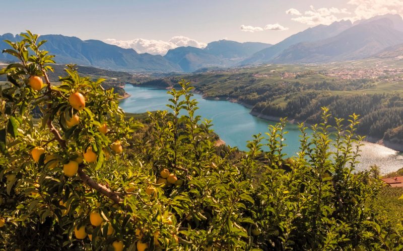 Cles dans le Val di Non, patrie des pommes