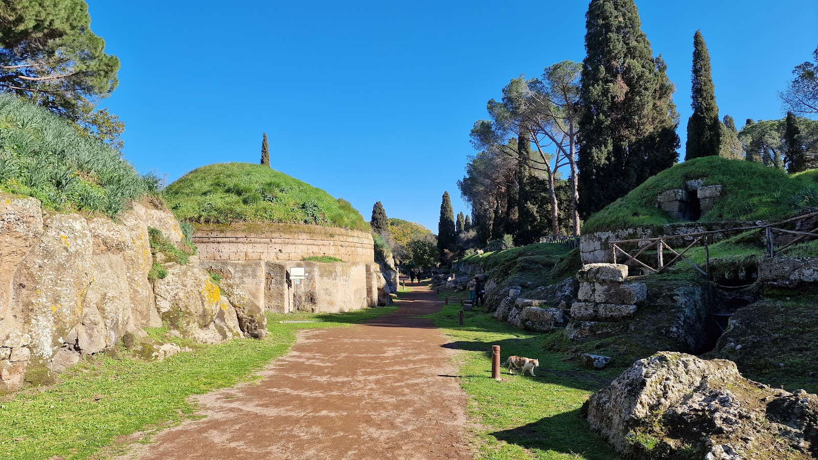 Transport From Rome Airport to Civitavecchia