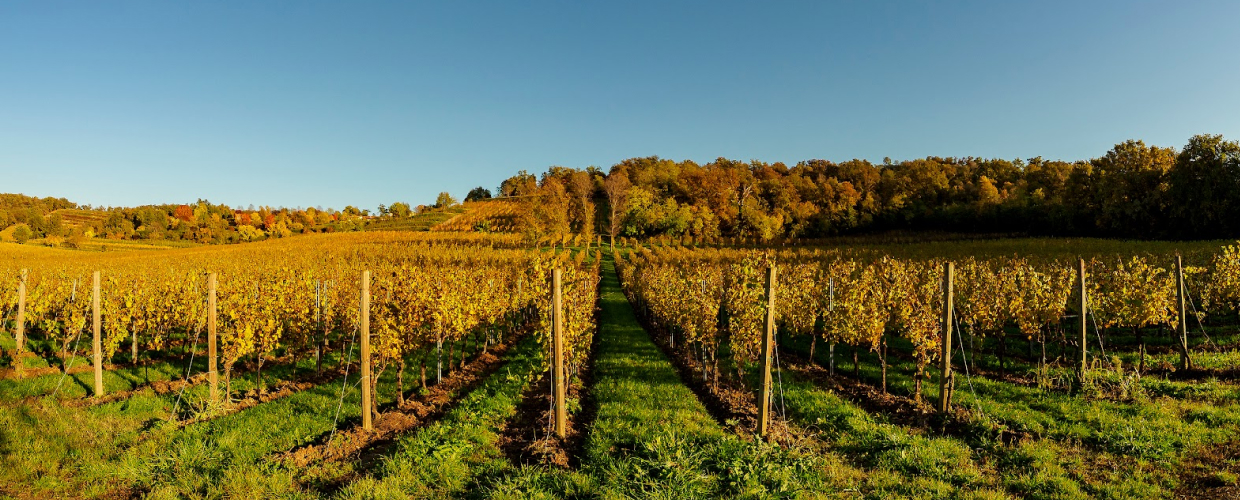 Parco delle Colline Italia.it