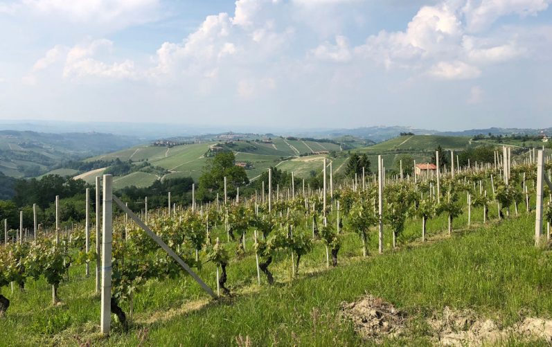 The gateway to Canavese, between history, the great Carnival, and fruit and vegetable markets