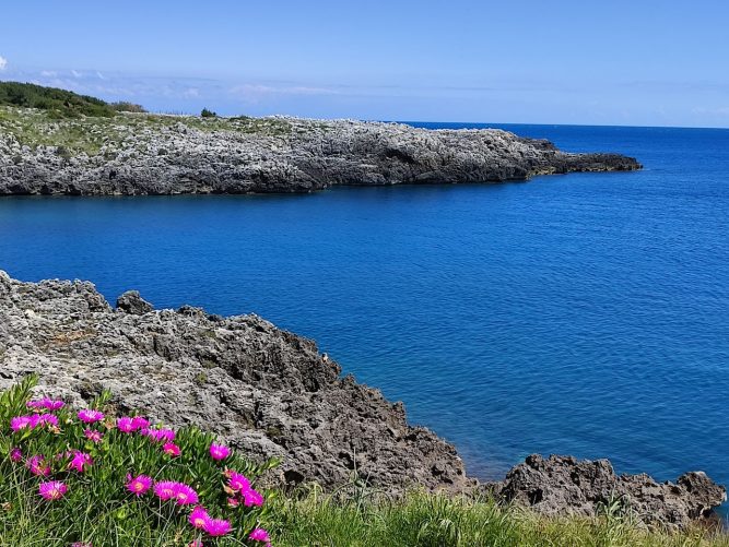 Alla scoperta di Porto Badisco e Torre Sant'Emiliano