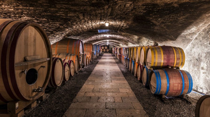 Cantina con botti