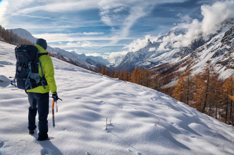 Val ferret