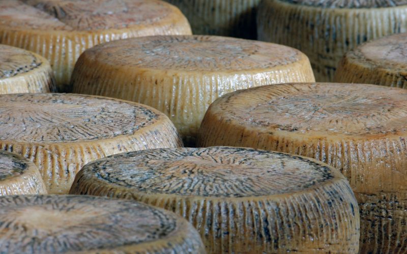 Filiano and pecorino cheese