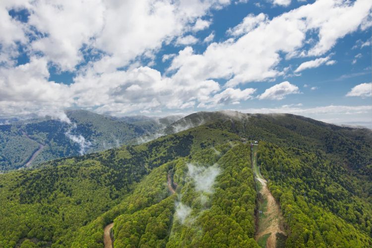 Aspromonte National Park